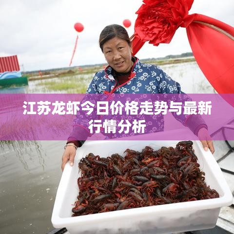 江苏龙虾今日价格走势与最新行情分析