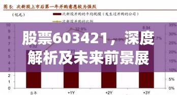股票603421，深度解析及未来前景展望