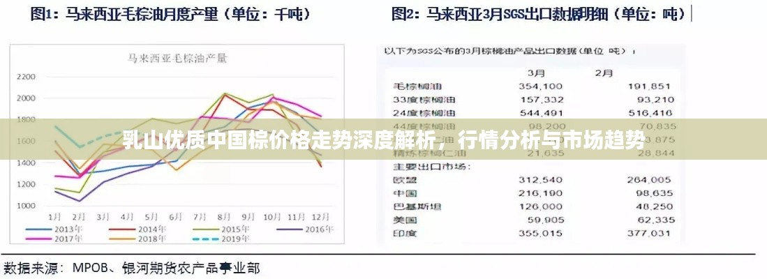 乳山优质中国棕价格走势深度解析，行情分析与市场趋势