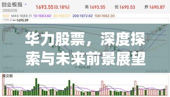 华力股票，深度探索与未来前景展望