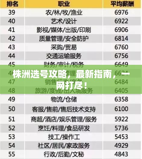 株洲选号攻略，最新指南，一网打尽！