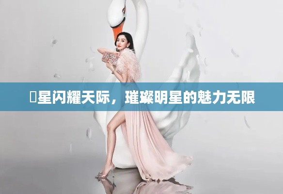 湉星闪耀天际，璀璨明星的魅力无限