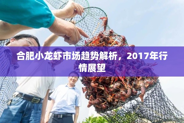 合肥小龙虾市场趋势解析，2017年行情展望