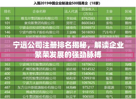 宁远公司注册排名揭秘，解读企业繁荣发展的强劲脉搏