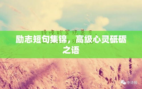 励志短句集锦，高级心灵砥砺之语