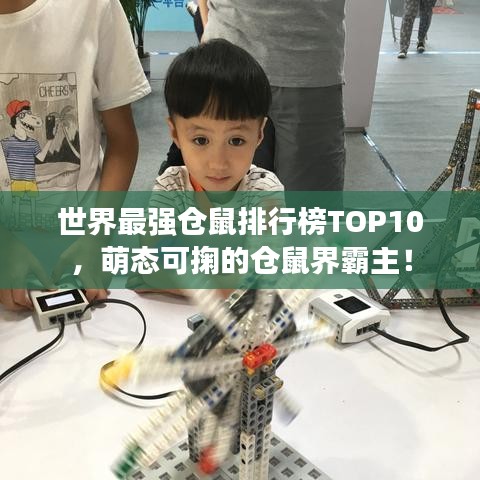 世界最强仓鼠排行榜TOP10，萌态可掬的仓鼠界霸主！