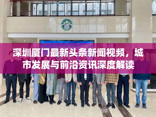 深圳厦门最新头条新闻视频，城市发展与前沿资讯深度解读