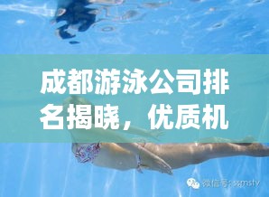 公司简介 第5页