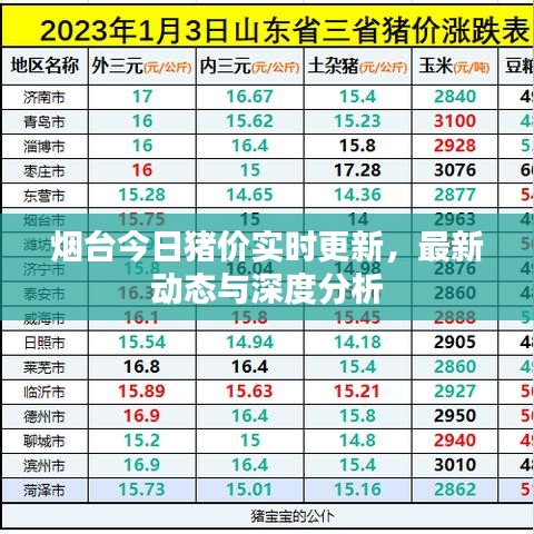 烟台今日猪价实时更新，最新动态与深度分析