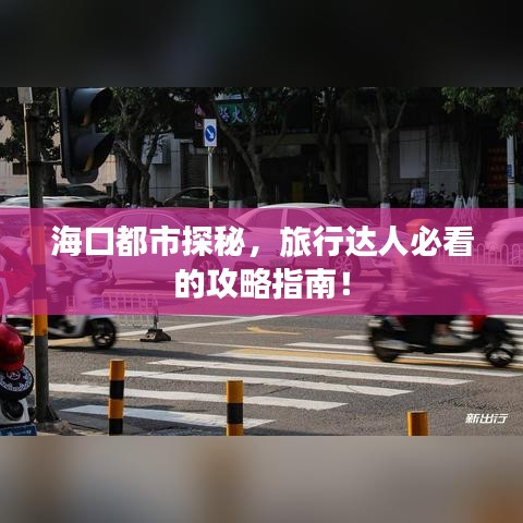 海口都市探秘，旅行达人必看的攻略指南！