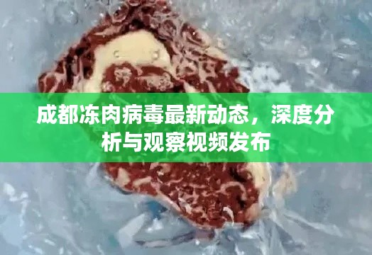 成都冻肉病毒最新动态，深度分析与观察视频发布