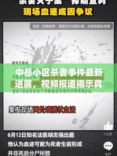 中岳小区杀妻事件最新进展，视频报道揭示真相