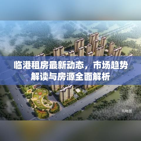 临港租房最新动态，市场趋势解读与房源全面解析