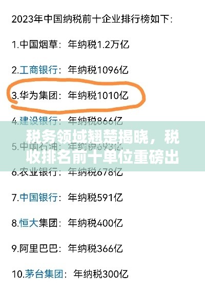 税务领域翘楚揭晓，税收排名前十单位重磅出炉！