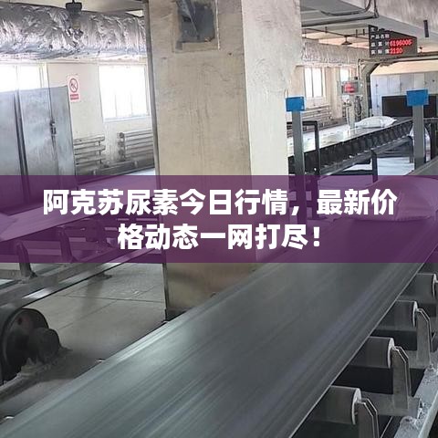 阿克苏尿素今日行情，最新价格动态一网打尽！