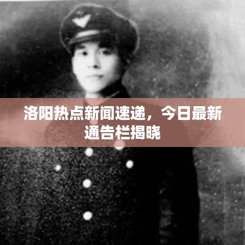 洛阳热点新闻速递，今日最新通告栏揭晓