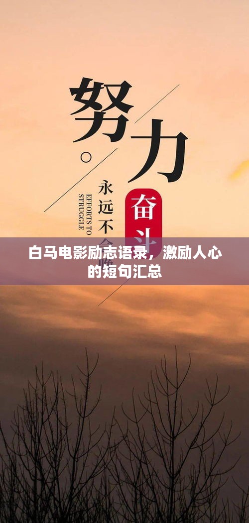 白马电影励志语录，激励人心的短句汇总