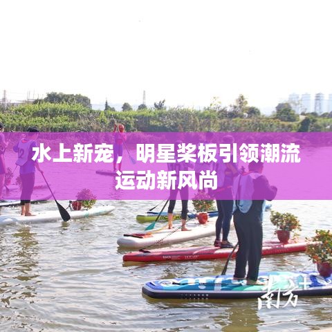 水上新宠，明星桨板引领潮流运动新风尚