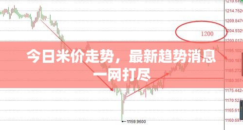 今日米价走势，最新趋势消息一网打尽