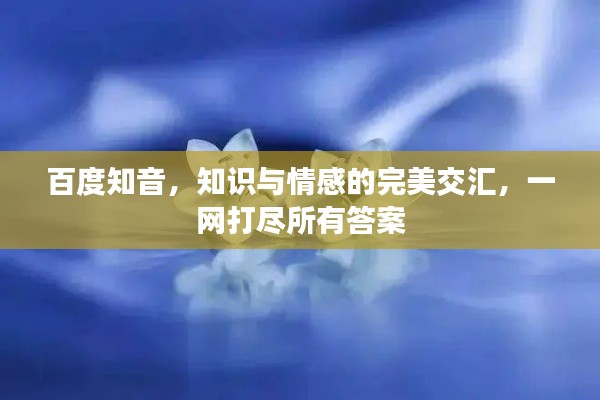 百度知音，知识与情感的完美交汇，一网打尽所有答案