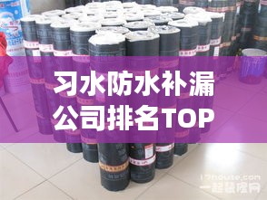 习水防水补漏公司排名TOP榜，专业推荐！