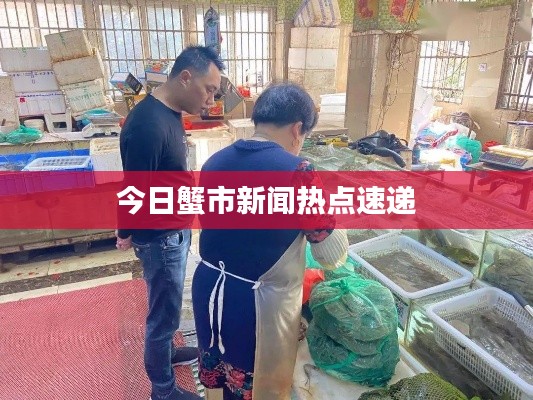 今日蟹市新闻热点速递