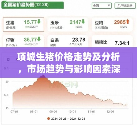 项城生猪价格走势及分析，市场趋势与影响因素深度解读