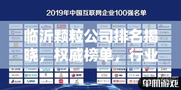 临沂颗粒公司排名揭晓，权威榜单，行业巨头一目了然！