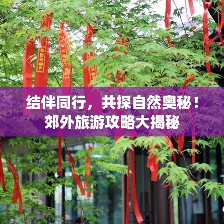 结伴同行，共探自然奥秘！郊外旅游攻略大揭秘
